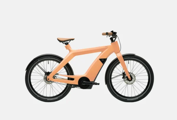 product-image-6_2 Mauris Diam